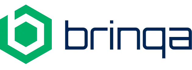 Brinqa_Logo_Blue - Marcela Ricci